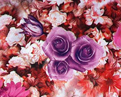 哪里學服裝數碼印花設計最好？